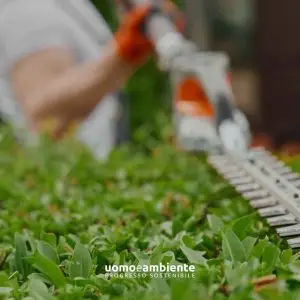 Corso di formazione base per addetto all'utilizzo del decespugliatore