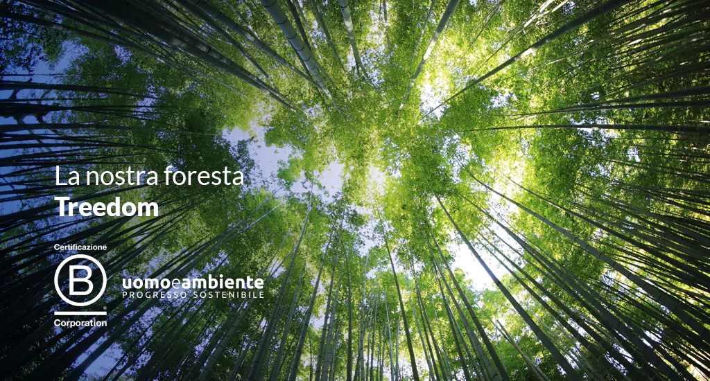 La nostra foresta aziendale UOMOeAMBIENTE – Treedom