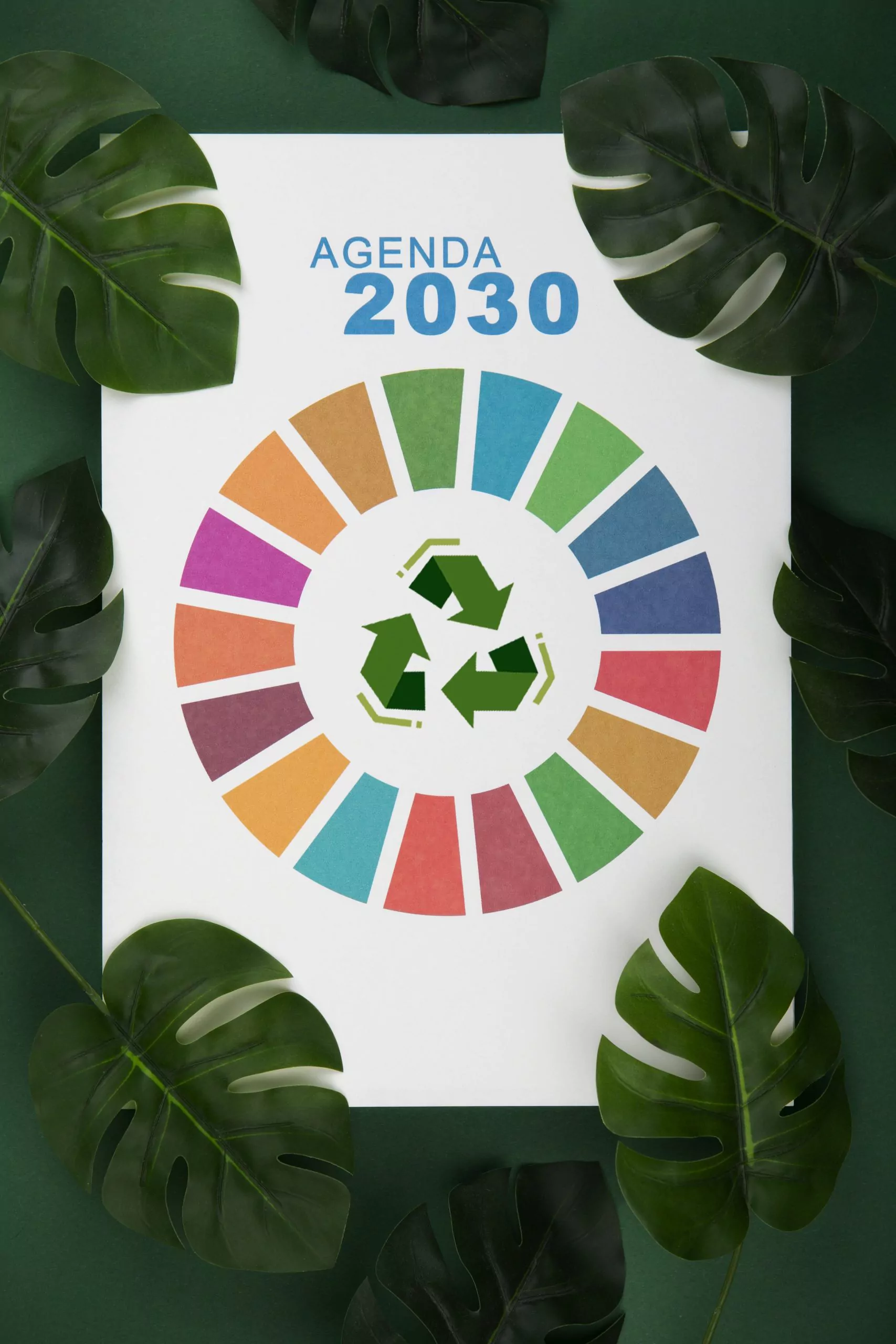 L’agenda 2030 per lo Sviluppo Sostenibile: strategie aziendali e criteri ESG