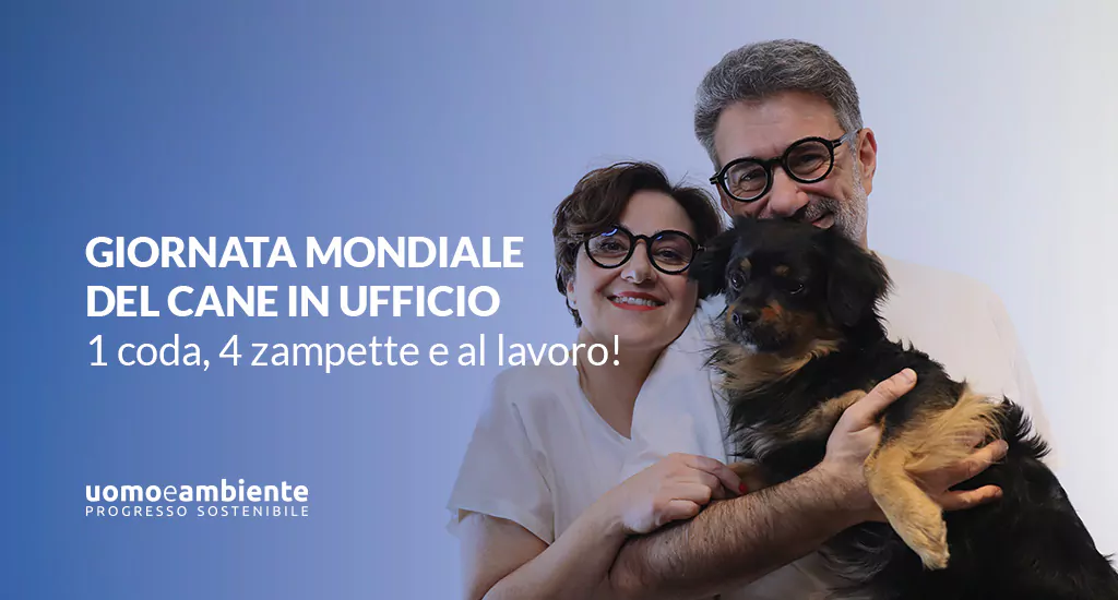 Giornata Mondiale del Cane in ufficio: 1 coda, 4 zampette e al lavoro!