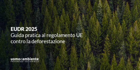 EUDR 2025: guida pratica al regolamento UE contro la deforestazione