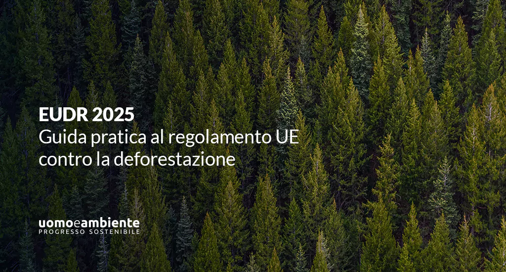 EUDR 2025: guida pratica al regolamento UE contro la deforestazione