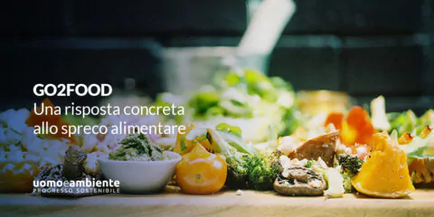 GO2FOOD: una risposta concreta allo spreco alimentare