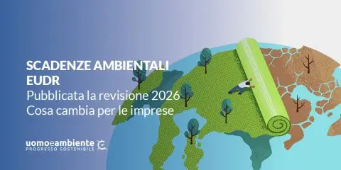 EUDR: pubblicata la revisione 2026. Cosa cambia per le imprese