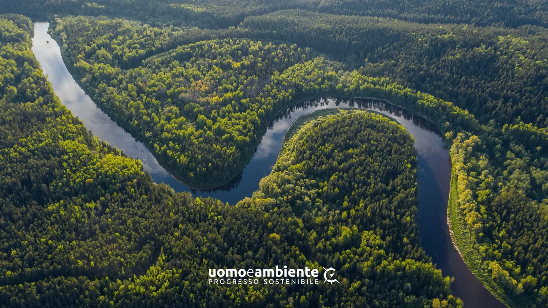 Vista aerea di una foresta attraversata da un fiume per la Good News sulla riduzione della deforestazione in Amazzonia nel 2026